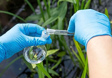 Environmental Testing