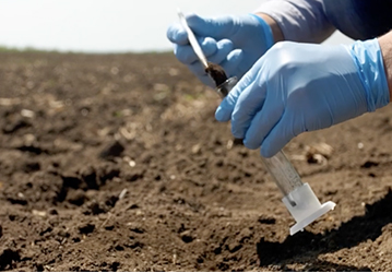 Soil Testing